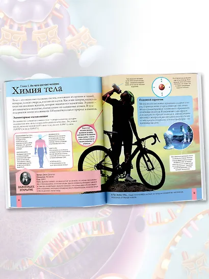 Тело человека - фото 5