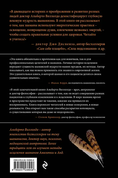 Книга шамана о жизни и смерти. Реальные истории исцеления - фото 2