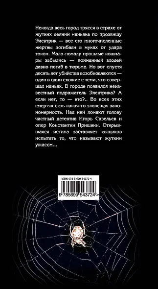 Электрик - фото 2