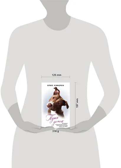 Путь домой - фото 4