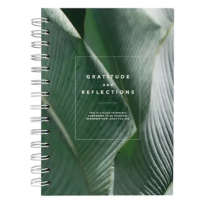 Тетрадь «Botanica. Пальма», 120 листов в точку, пальма, спираль - фото 1