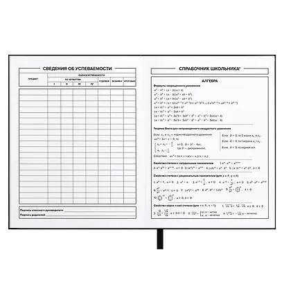 Дневник шк. "Огненный мотоцикл" тв.переплёт, глянц.ламинация, пантон, ляссе, универс.шпаргалка - фото 14