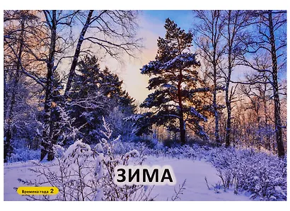 Карточки для умного развития. Времена года - фото 3