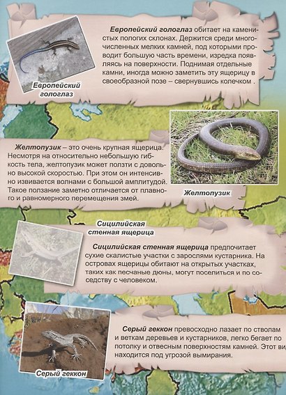 Рептилии и рыбы - фото 2
