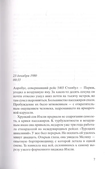 Самолет без нее - фото 2