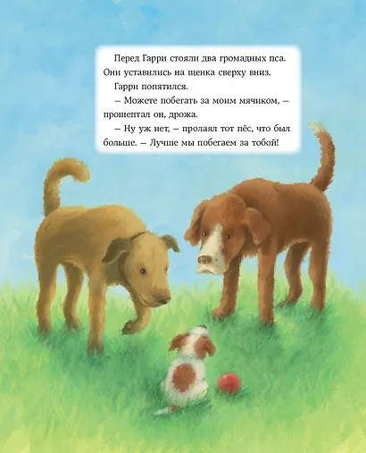 Большое приключение маленького щенка - фото 13