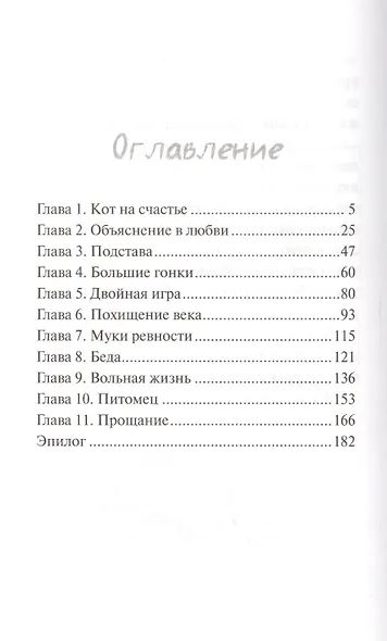 Кот на счастье - фото 2