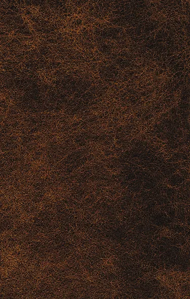 Белая гвардия (РК) (Эксмо) (+640с.) - фото 2