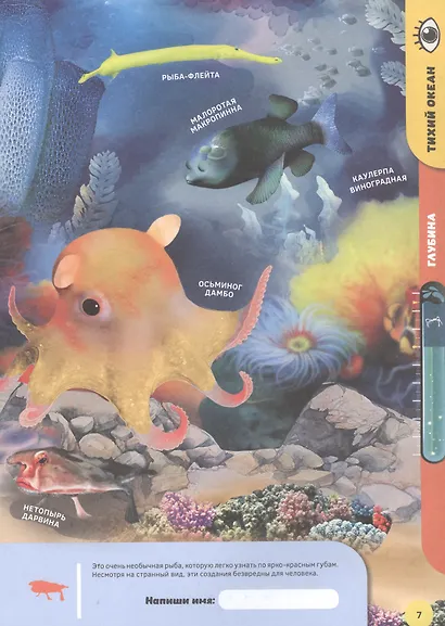 Подводные жители. 4D книга - фото 3