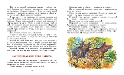 Лесные тайнички - фото 5