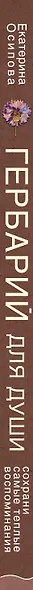 Гербарий для души: сохрани самые теплые воспоминания - фото 5
