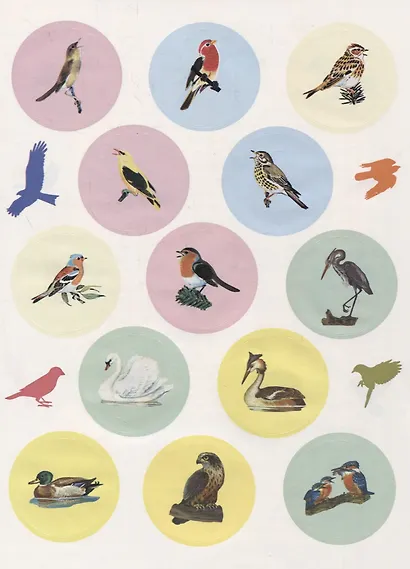 Птицы. Познавательные наклейки - фото 2