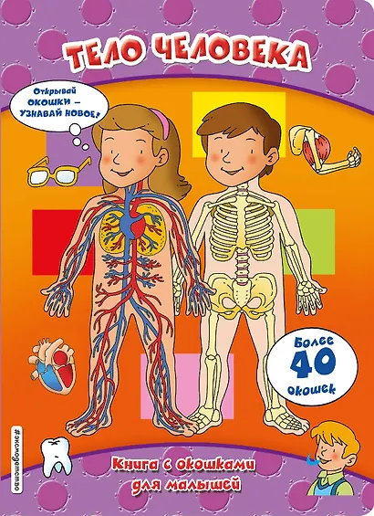 Тело человека (книги с окошками) - фото 1