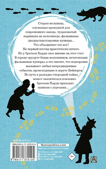 Братья Харди и тайна старой мельницы - фото 2