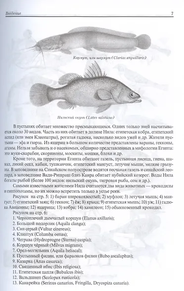 Египет. Культура, религия, архитектура Древнего Египта. Пятое издание, исправленное и дополненное - фото 11