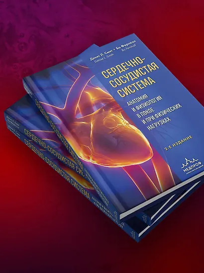 Сердечно-сосудистая система. Анатомия и физиология в покое и при физических нагрузках - фото 8