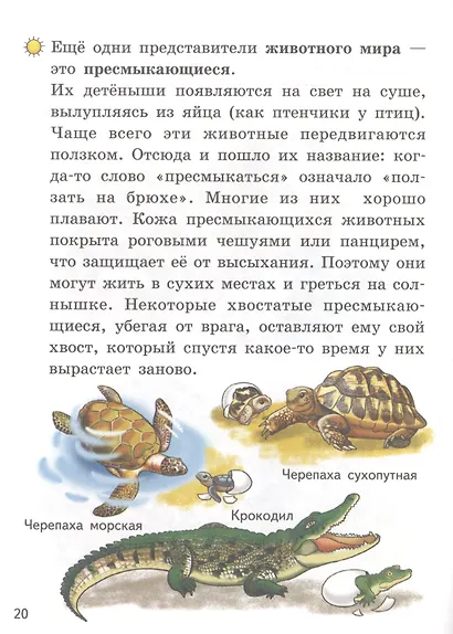 Мир вокруг нас (5-6 лет) - фото 2