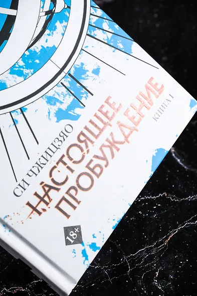 Настоящее пробуждение. Real Awakening. Книга 1 - фото 10