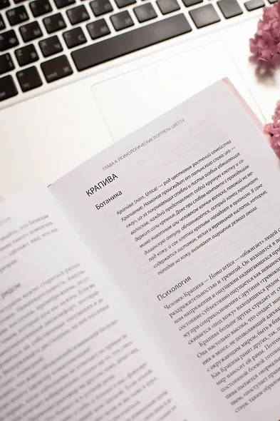 Цветы эгоизма. Как травмы влияют на личность и что с этим делать - фото 10