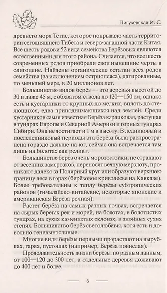 Лечение деревьями. 500 рецептов от 100 недугов - фото 6