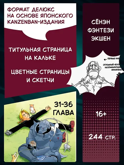 Стальной Алхимик. Книга 6 - фото 4