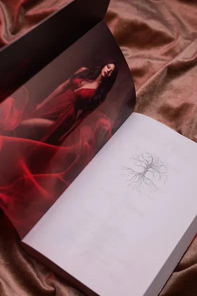 Невольница. Книга 1 - фото 13