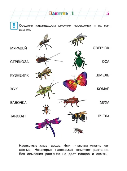 Изучаю мир вокруг: для детей 5-6 лет. Ч. 2 - фото 10