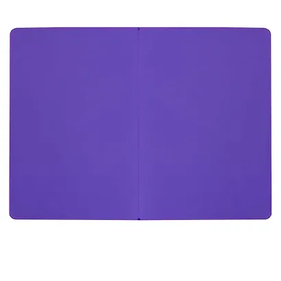 Ежедневник недат. А6+ 120л 126х174 "Наппа" ПРУД , иск.кожа, мягкий переплет, тиснение фольгой, офсет, ляссе - фото 3