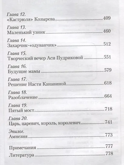 Пятый мост - фото 3