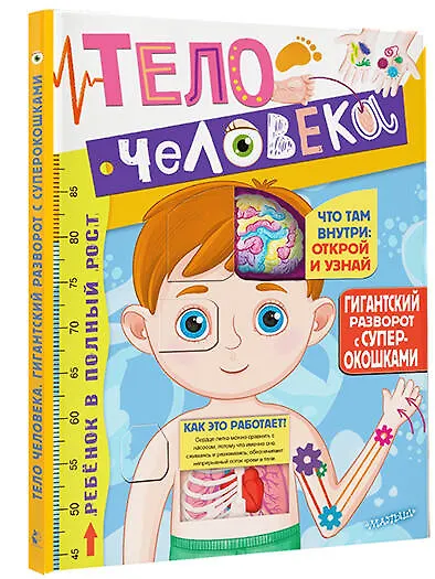 Тело человека - фото 3