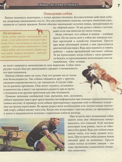 Собаки. Энциклопедия - фото 6