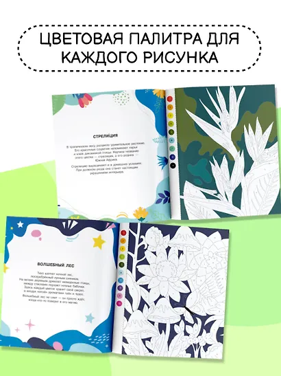 Цветы и бабочки - фото 5