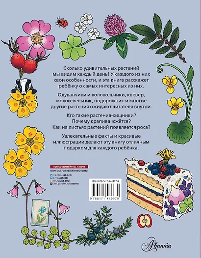 Цветы и растения - фото 2