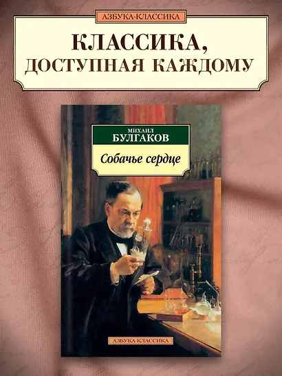 Собачье сердце - фото 3