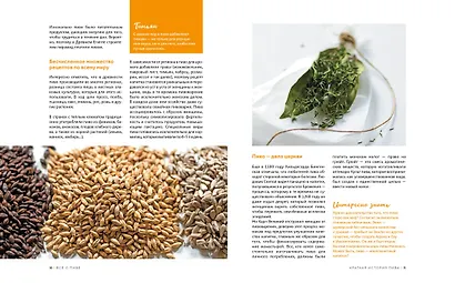 Beer Expert: Пиво. Идеальный путеводитель по сортам, видам, рецептам - фото 6