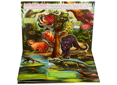 Живая планета. Джунгли (книжка-панорамка) - фото 3