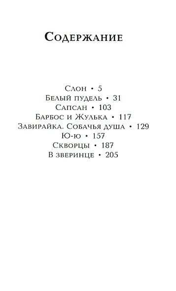 Барбос и Жулька - фото 2