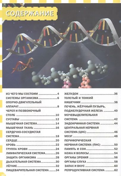 Как работает твоё тело. Детская энциклопедия - фото 2
