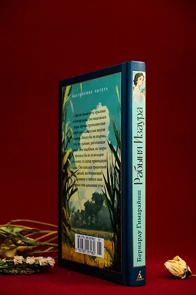 Рабыня Изаура - фото 14