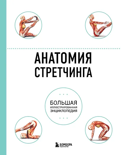 Анатомия стретчинга. Большая иллюстрированная энциклопедия - фото 1