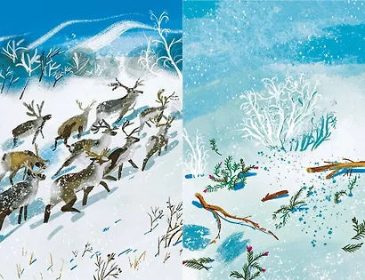 Хозяин белых оленей - фото 14