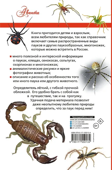 Пауки, скорпионы и многоножки России - фото 2