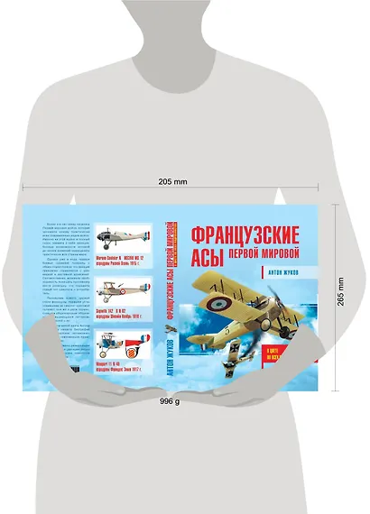 Французские асы Первой мировой - фото 2