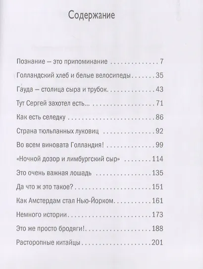 Голландия без вранья - фото 2