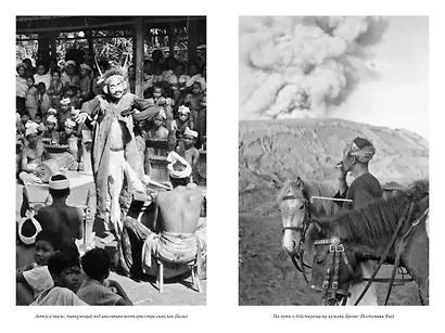 Путешествия натуралиста. Приключения с дикими животными - фото 9