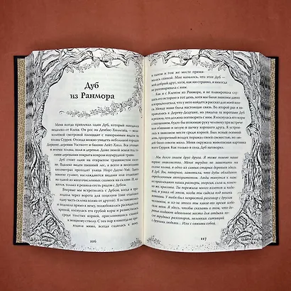 Магия леса. Секреты общения с деревьями - фото 5