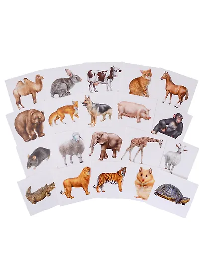 Запоминай английские слова. Animals / Животные. Набор из 20 карточек - фото 2
