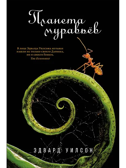 Планета муравьёв - фото 1