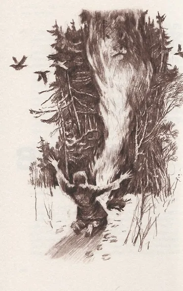 Поцелуй тигрицы. О дикой природе, таежных странствиях, жестоких испытаниях судьбы и спасении легендарных хищников - фото 4