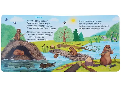 Удивительные дома животных. Книжки-картонки - фото 3